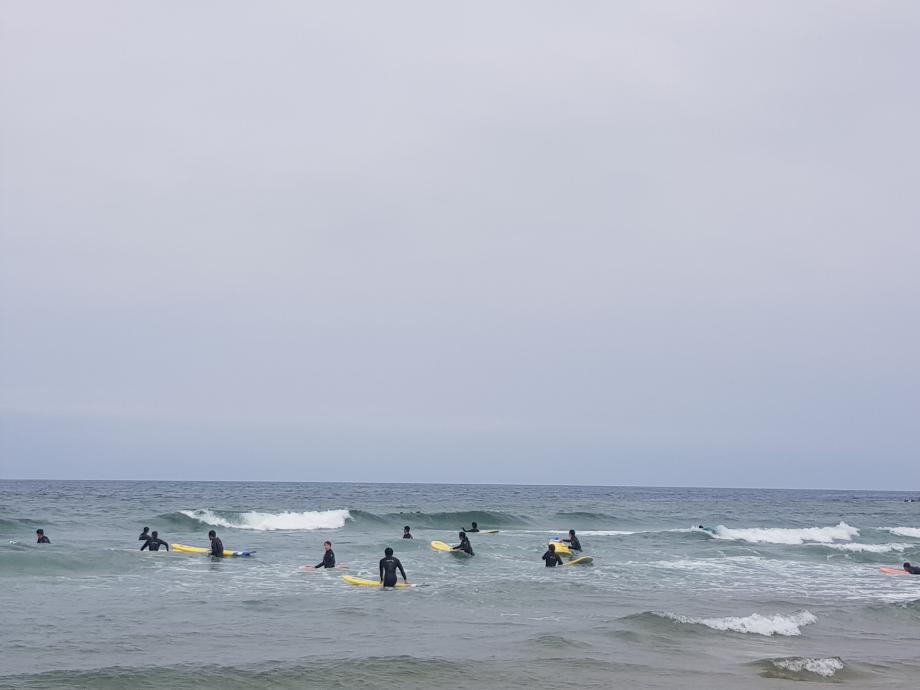 생활체육학전공 등산및캠핑 수업 '서핑' 7