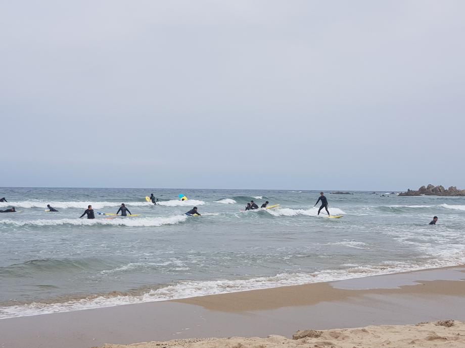 생활체육학전공 등산및캠핑 수업 '서핑' 8