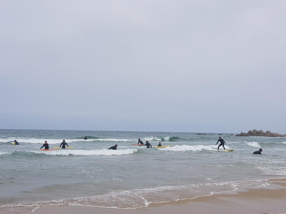 생활체육학전공 등산및캠핑 수업 '서핑' 9