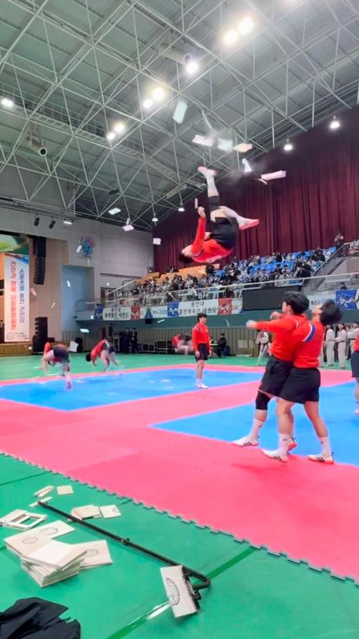 제14회 홍천군체육회장배 태권도대회 9
